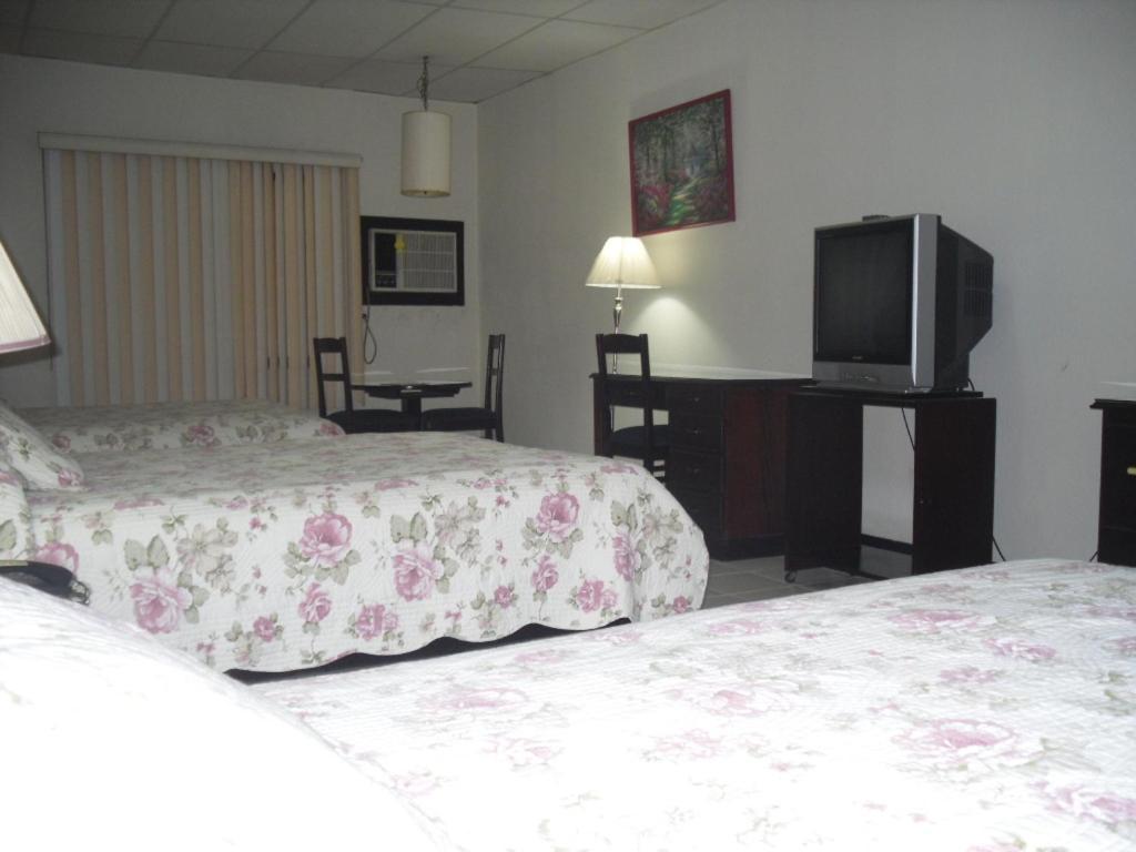 Hotel Excelsior 테구시갈파 객실 사진